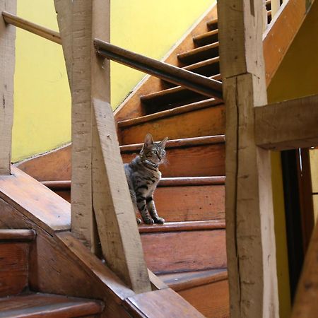 La Casa Del Puerto, Hostal Cultural, Cerro Alegre Valparaíso Zewnętrze zdjęcie