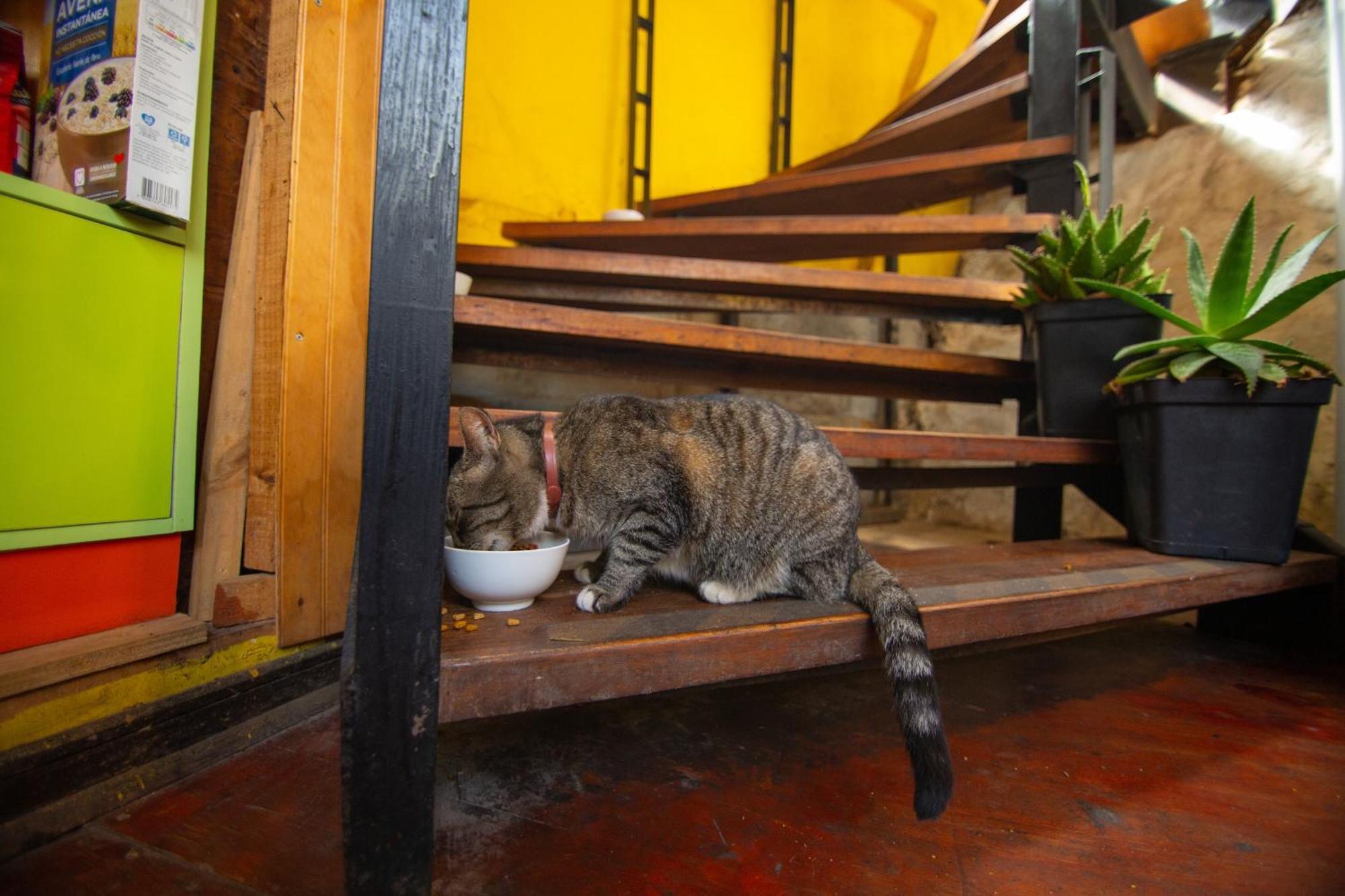 La Casa Del Puerto, Hostal Cultural, Cerro Alegre Valparaíso Zewnętrze zdjęcie