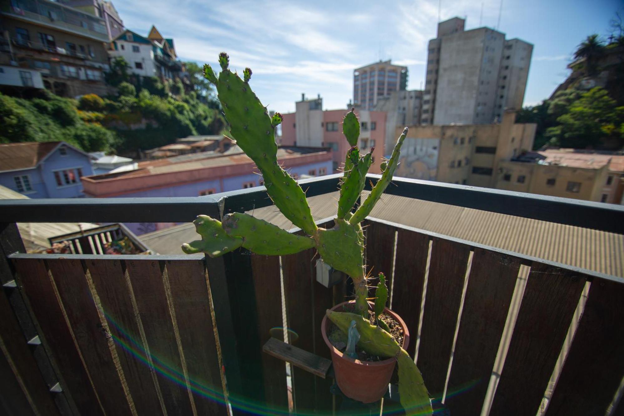 La Casa Del Puerto, Hostal Cultural, Cerro Alegre Valparaíso Zewnętrze zdjęcie