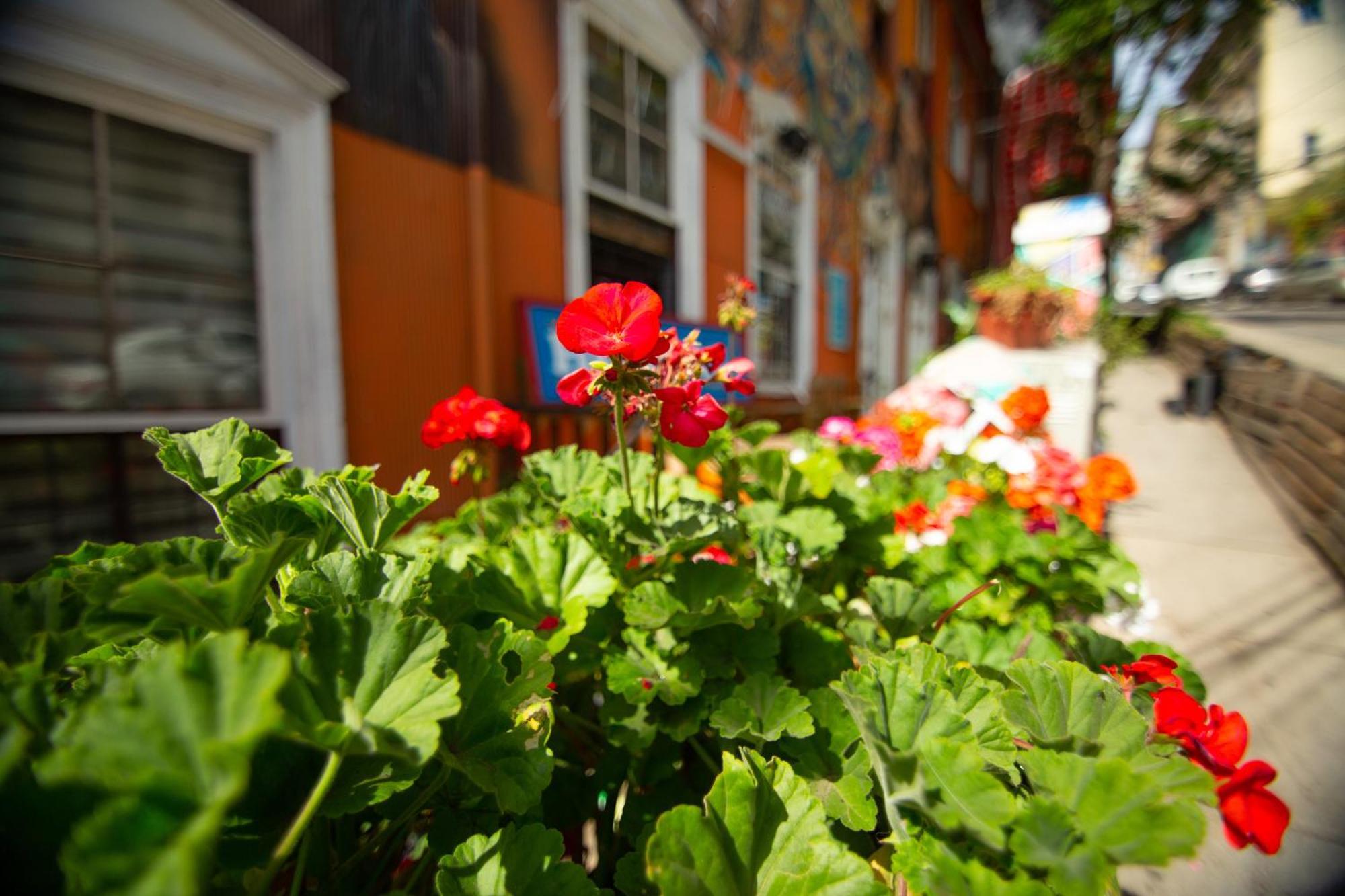 La Casa Del Puerto, Hostal Cultural, Cerro Alegre Valparaíso Zewnętrze zdjęcie