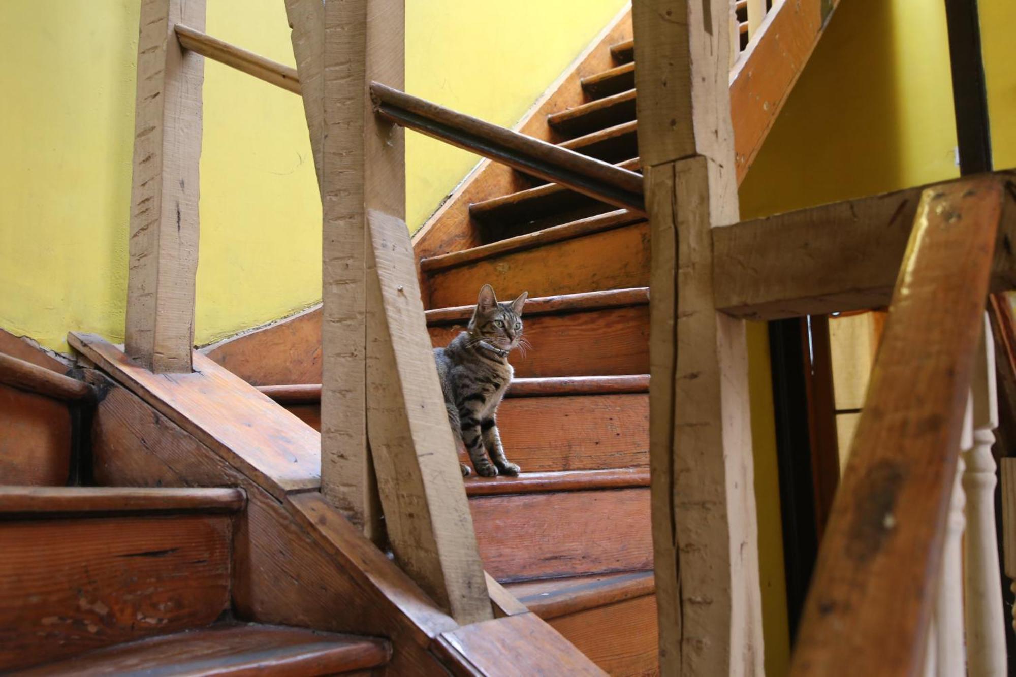 La Casa Del Puerto, Hostal Cultural, Cerro Alegre Valparaíso Zewnętrze zdjęcie