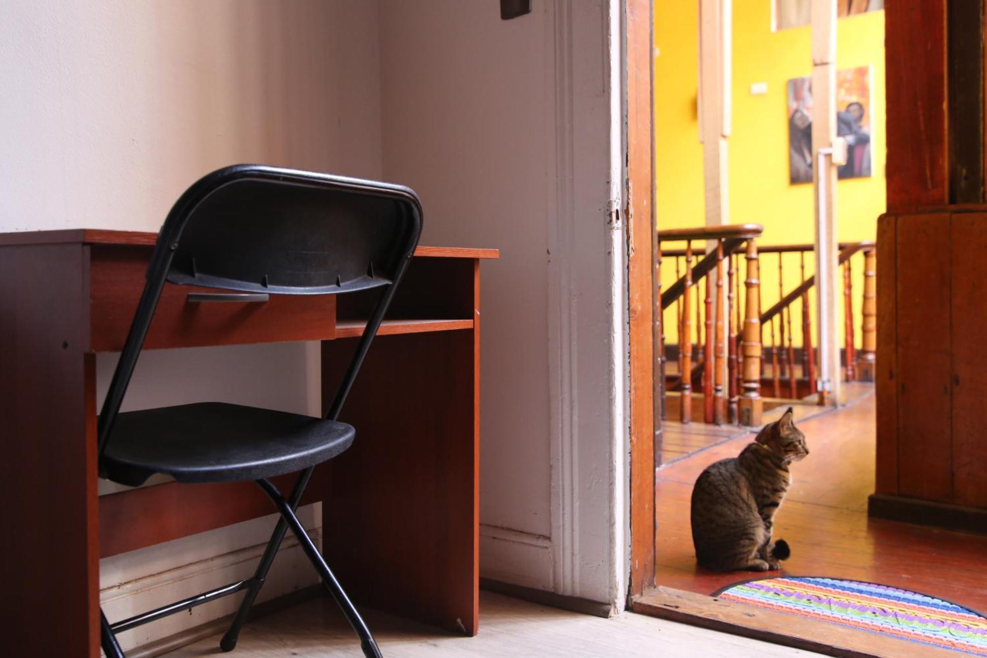 La Casa Del Puerto, Hostal Cultural, Cerro Alegre Valparaíso Zewnętrze zdjęcie